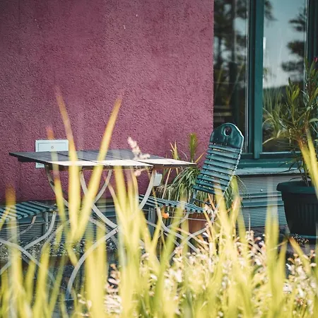 Black Tiger Seaside - Direkt Am * Garden